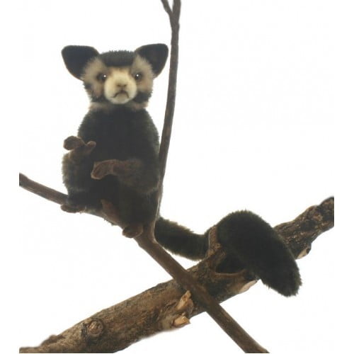 aye aye plush