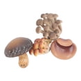 thumbnail image 1 of Juego de Modelos de Hongos en Miniatura de Alta Simulación para Educación Modelos Cognitivos Educación Temprana y Decoración con Plástico Seleccionado ANGGREK Otros, 1 of 8