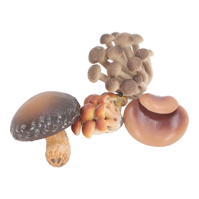 Juego de Modelos de Hongos en Miniatura de Alta Simulación para Educación Modelos Cognitivos Educación Temprana y Decoración con Plástico Seleccionado ANGGREK Otros