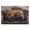 Cozy Highland Cow Portrait, variant on Stupell Industries Where The Leopard Dreams Birch Framed Print Under Glass, design by Tina LeCour