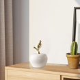 thumbnail image 6 of ABCISI Ceramic Fruit, Artificial Apple Statue Figurine Gifts, Tabletop Fruit Sculpture Ornament for Dining Room Home Bookshelf Decor, White, Small, 6 of 7