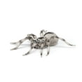 thumbnail image 4 of Papo Tarantula Figure, Multicolor, 4 of 6