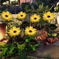 thumbnail image 1 of Solares De Girasol Para Jardín, Luces Led Solares Impermeables, Iluminación Decorativa Para Exteriores Para Patio, Césped, Jardín, Camino 44596 Luces Inevent HA046509-02, 1 of 6