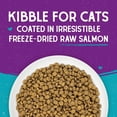thumbnail image 5 of Stella & Chewy's Raw Coated Cat Food - High Protein, Grain-Free Kibble with Wild-Caught Salmon - Premium Digestive Support with Probiotics - Natural Small Kibble - Perfect For Picky Eaters - 5 lb Bag, 5 of 8