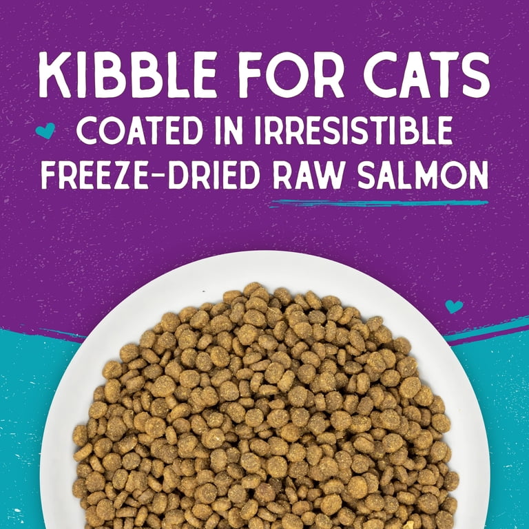 Stella & Chewy's Raw Coated Kibble, Wild Salmon, 5 lb photo 5