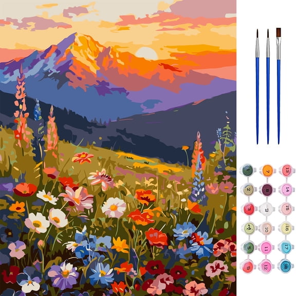 BYGFHLYW Paint by Numbers Kit for Adults, Sunset Mountain Wildflower Landscape, 20 x 16 Inch, Scenery Home Wall Decor Gift