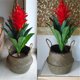 thumbnail image 2 of Cesta de retazos para flores de jardín, ropa sucia y más, plegable, de algas marinas, 2 of 5