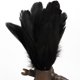 thumbnail image 1 of KAYSO 50Pcs Decoración para el hogar Pluma de pato negro KAYSO 311136037922, 1 of 1