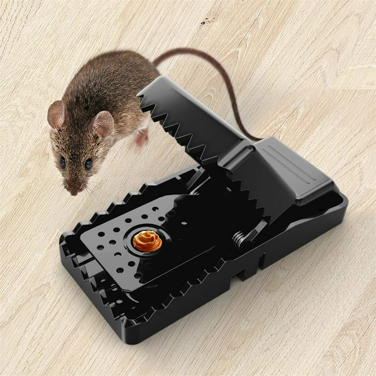 The 6 Best Mouse Traps for 2023 - Best Home Mouse Traps