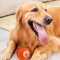 thumbnail image 6 of Viral Bouncy Ball for Dogs, Chewy Viral Bouncing Ball, Chewy Viral Rolling Ball for Dogs, Vibrating Dog Ball, Dog Vibrating Ball, Vibrating Dog Ball for Large Dogs, Shaky Ball Toy for Dogs, 6 of 7