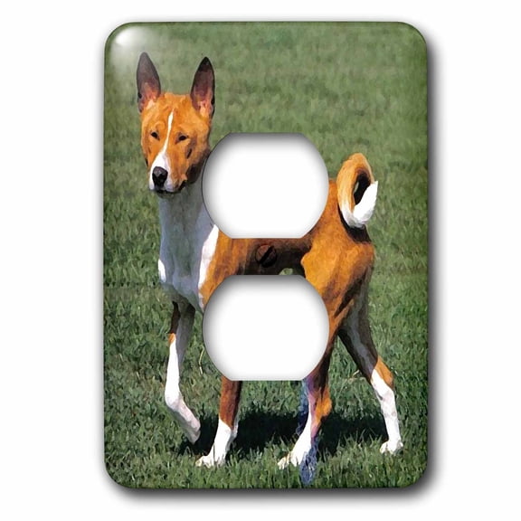 3dRose, Basenji, 2 plug outlet cover