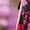 Pink Floral, variant on Joe Browns Women's Plus Size Stretch Knit Faux Wrap Midi Dress