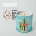 thumbnail image 2 of Carolines Treasures CK4511CDL 3.75 x 3.25 in. Unisex Comet Goldfish Merry Christmas 10 oz Decorative Soy Candle, 2 of 5