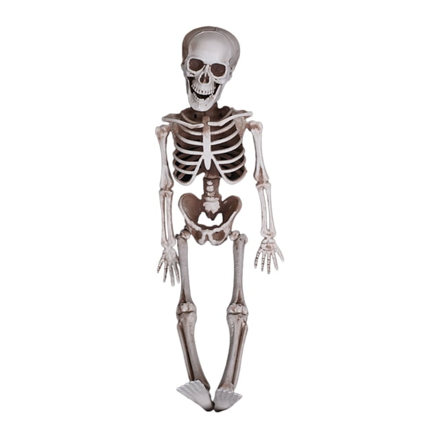 16 Inches Halloween Skeleton Prop For Spooky House Decoration Simulation Skull Ghost Trick A