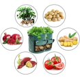 thumbnail image 1 of 2 uds bolsas para cultivo de patatas, bolsa para cultivo de plantas, maceta para cultivo de patatas, con ventana para jardín para patatas, zanahorias, tomates y cebollas, Etc., 1 of 5