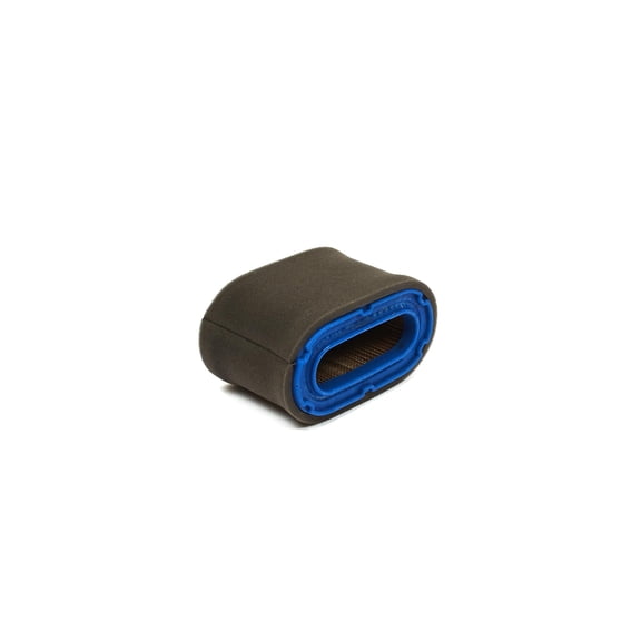 Oregon Air Filter | 30-064