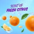thumbnail image 6 of Aussie Instant Freeze Sculpting Hair Gel for Curly Hair, Straight Hair, and Wavy Hair, 7 oz, 6 of 9