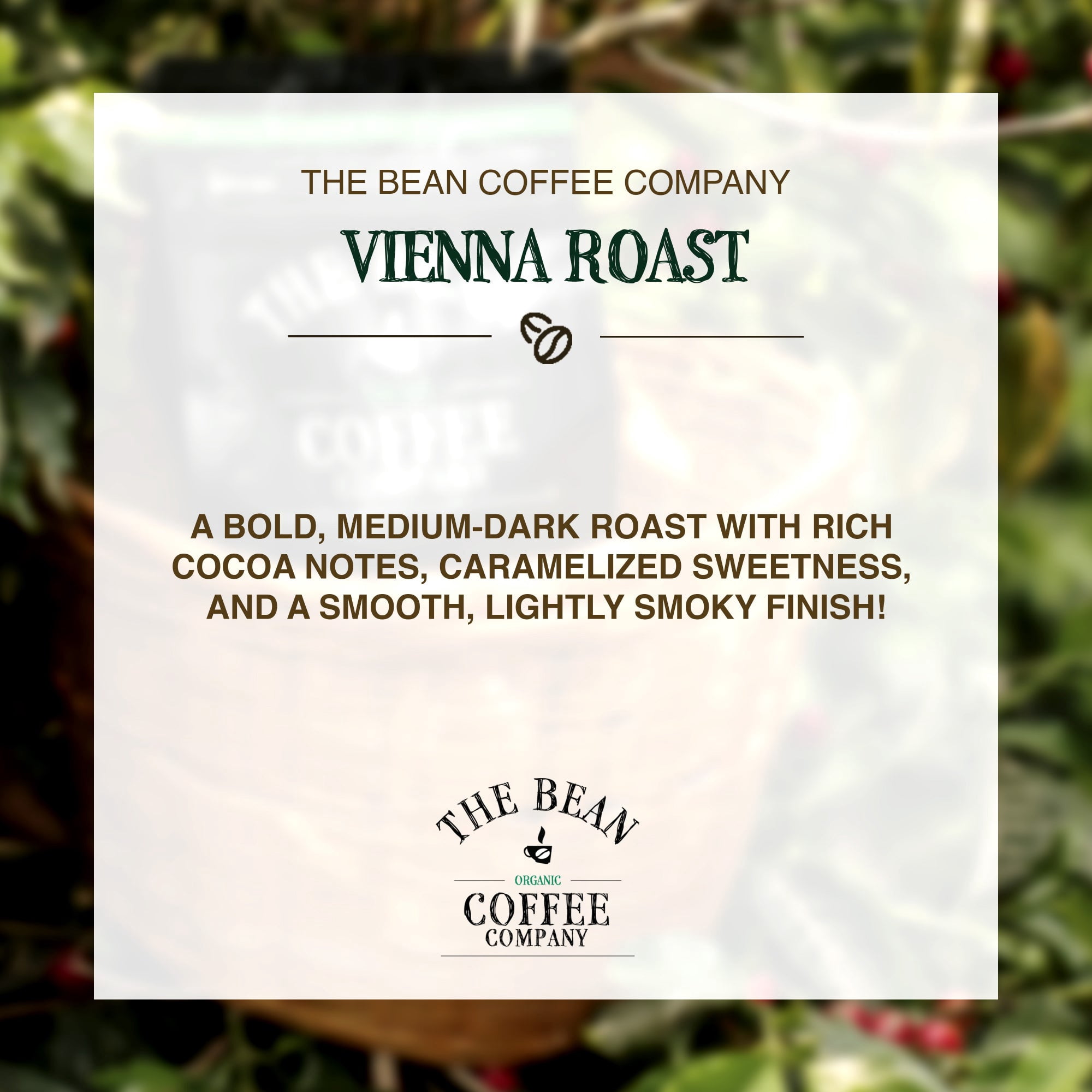 The Bean Organic Coffee Company Vienna Roast, Medium Roast, Ground Coffee, 16-Ounce Bags (Pack of 2)