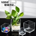 thumbnail image 6 of HOMEMAXS Modern Style Glass Flower Vase for Home Use Transparent Fresh Flowers and Succulents 7.5, 6 of 7