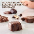 thumbnail image 2 of Russell Stover, Caramel and Nuts in Milk and Dark Chocolate, Assorted Chocolate Gift Box, 9.4 Ounce (16 Pieces), 2 of 9