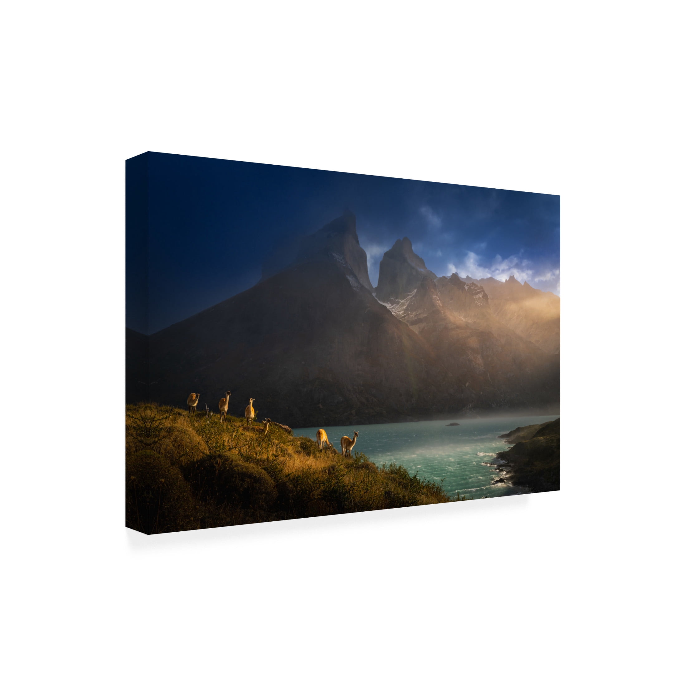 Trademark Fine Art ByKammille Li Immersing in the golden lights Canvas Wall Art