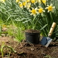thumbnail image 4 of Fishnure 1 lb Odorless Organic Compost Fertilizer made from Fish Manure - Omri Listed plant fertilizer for indoor and outdoor use, 4 of 9