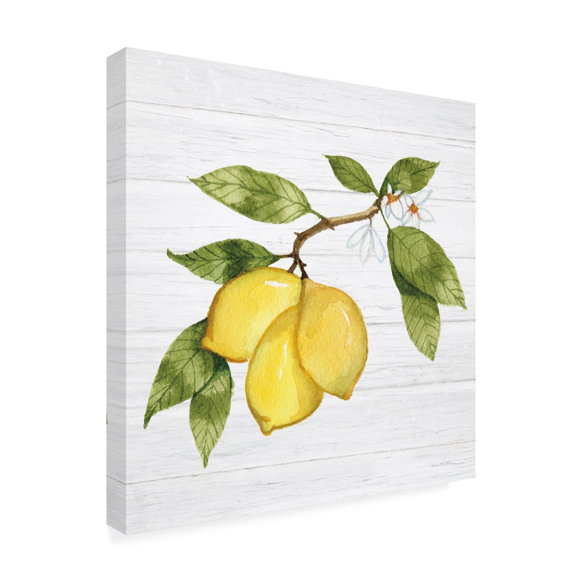 Trademark Fine Art 'Citrus Garden I Shiplap' Canvas Art by Kathleen Parr McKenna