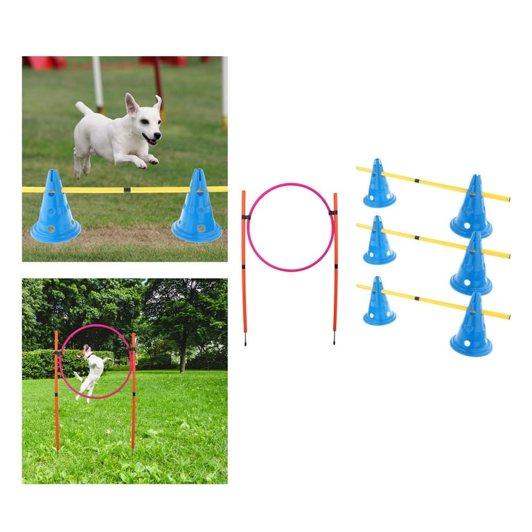 Polar Aurora Agility Training Equipment for Dogs, Obstacle Course