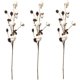 thumbnail image 1 of Tallos de algodón para decoración rústica, 3 piezas de 68 cm de flores artificiales de aspecto natural, flores secas hechas a mano para jarrones, ramas decorativas con bolas de algodón 100 % reales, 1 of 5