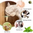 thumbnail image 2 of Bola de hierba gatera, juguetes de hierba gatera giratoria de 360°, bola natural limpia los dientes y atrae a los gatos, helado (2 piezas) JM, 2 of 5
