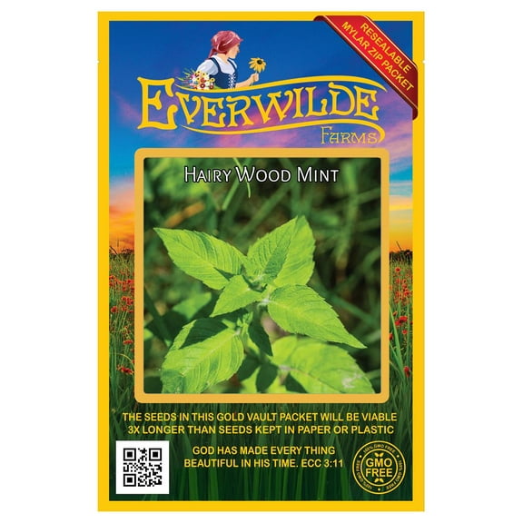 Everwilde Farms - 2000 Hairy Wood Mint Native Wildflower Seeds - Gold Vault Seed Packet