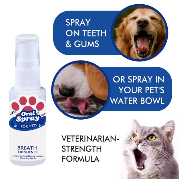 Dog mouthwash walmart sales