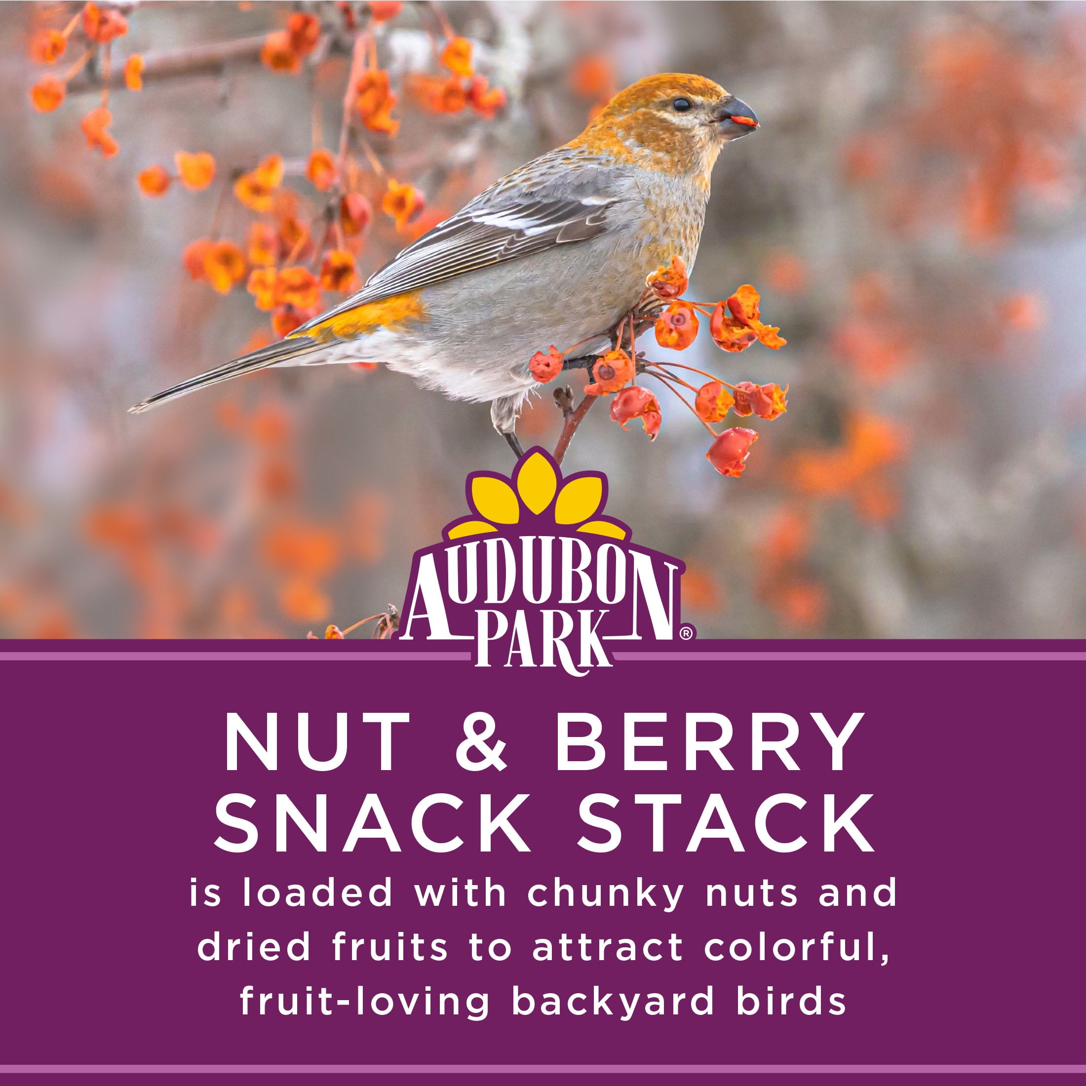 (2 pack) Audubon Park Nut & Berry Snack Stack Wild Bird Food, Dry, 1 Count Per Pack, 7.5 oz.