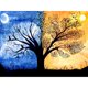 thumbnail image 2 of Cuadros Decorativos 5D DIY Sun Moon Tree Full Round Drill Diamond Painting Kit Mosaic Craft (1) Tmvgtek embutido en tela, 2 of 6