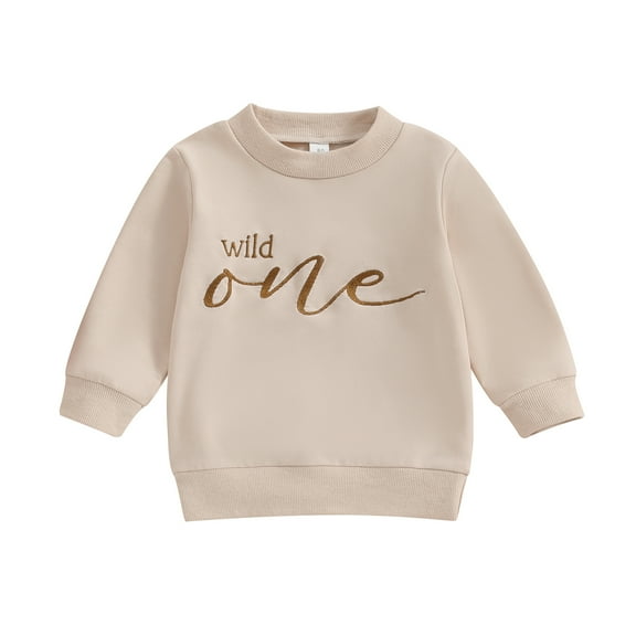 Bagilaanoe Newborn Baby Boy Casual Sweatshirt Long Sleeve Letter Embroidery Pullover 6M 12M 18M Infant Loose Tee Tops
