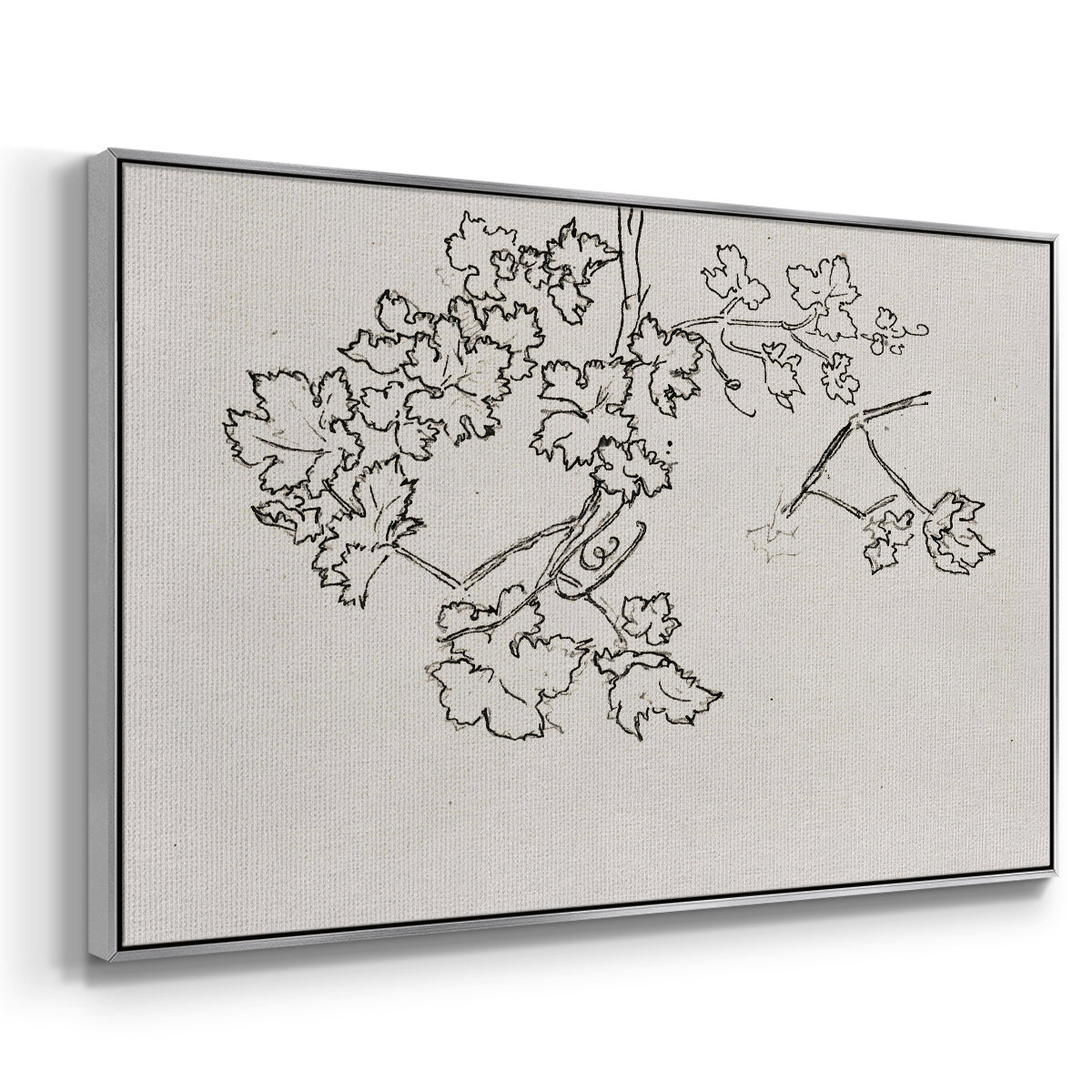 Vintage Sketch-XIII By Wexford Home Framed in Silver Wood Gallery Wrapped Canvas 27 in. x 41 in.