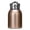 Gold, variant on Portable Mini Vacuum Insulated Cup, 316 Stainless Steel Travel Water Bottle with Leak-Proof Lid