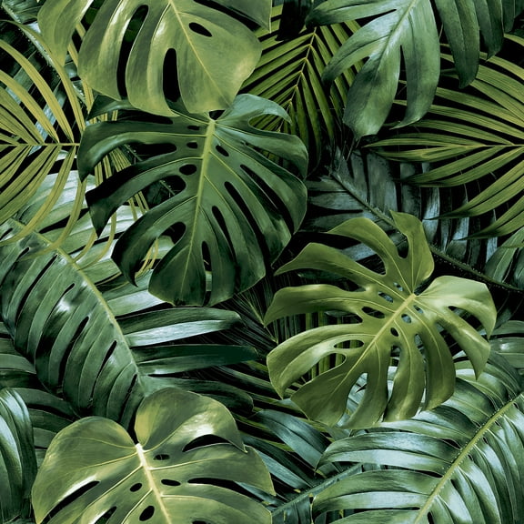 Arthouse Harlynn Green Monstera Wallpaper