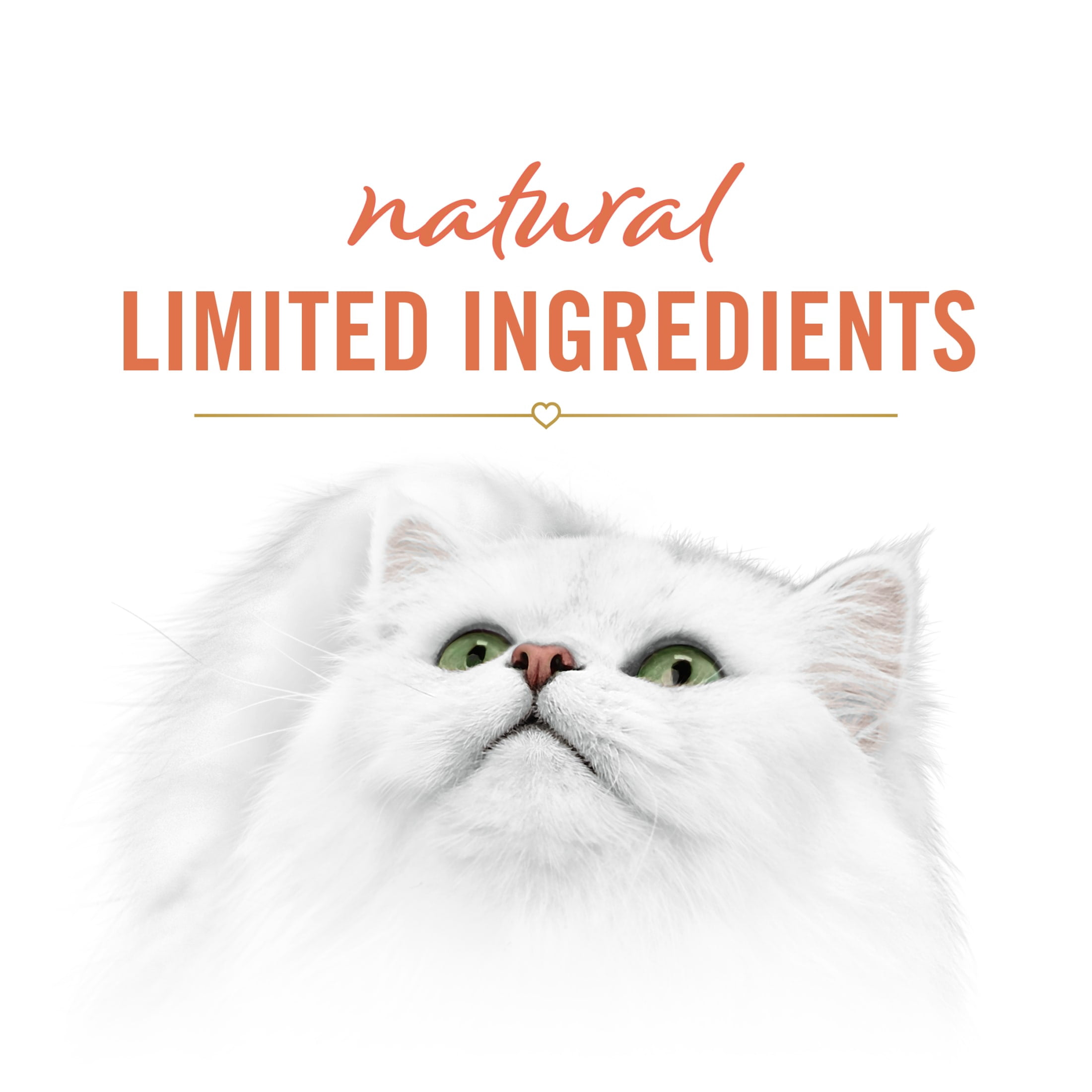 Purina Fancy Feast Savory Puree Kitten Food, Wet Cat Food, Salmon & Tuna, 0.35 oz Sachez (12 Pack)