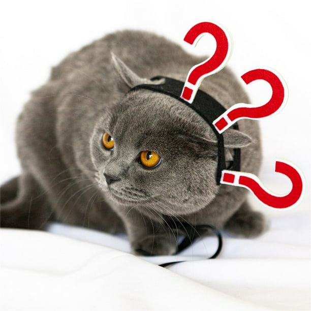 Funny Question Mark Pet Photo Props For Halloween And Party And Birthday Gift Funny Question Mark Pet Photo Props For Halloween And Party And Birthday Gift