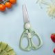 thumbnail image 5 of Portable Children's Complementary Scissors With Cover Safe And Convenient For Toddler Food And Kitchen Food-grade Stainless Steel Easy To Clean, 5 of 6