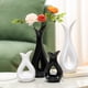 thumbnail image 1 of Botellas Decorativas De Plástico 1 piezas jarrón negro de plástico con aspecto cerámico no frágil decoración de mesa para caseras o comedor 3,5x3,1x8,3" JASKFLY, 1 of 9