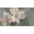 thumbnail image 2 of Simons 24x15 White Modern Wood Framed Museum Art Print Titled - Illusion in Pink, 2 of 4