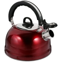 PAMINGONO Tea Kettle for Stove Boiling Water Stainless Steel 1Pack