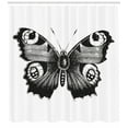 thumbnail image 3 of Ambesonne Black and White Shower Curtain, Peacock Butterfly, 69"Wx70"L, Black White, 3 of 3