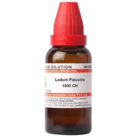 Dr Willmar Ledum Palustre Dilution 1000 CH