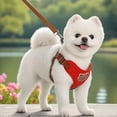 thumbnail image 4 of Small Dog Harness and Leash Set Mesh Dog Harness for Small Dogs Quick Release Buckle Puppy Harness for Walking Outdoor Trips Red 1 Pack, 4 of 6