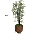 thumbnail image 2 of 77 in. Bamboo Tree with Planter, 2 of 6