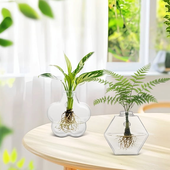 2PC Wall Hanging Planter Propagation Station, 2 Glass Flower Vases (1Flower   1 Hexagon), 2-Way Use Hydroponic Plant Wall Vase for Indoor Plants, Home Office Living Room Bathroom Decor