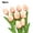 Light Champagne*5pcs, variant on Cheer.US 5Pcs Artificial Flowers, Faux Flowers Fake Silk Tulips Perfect for Indoor Outdoor Home Kitchen Office Table Centerpieces Arrangements Christmas Decor